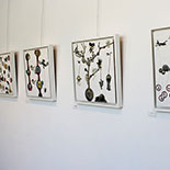 view 6 JONATHAN MEYER, view 6, Galerie Pascale Lainé, Ménerbes, August - September 2013