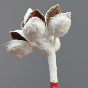 JONATHAN MEYER, Dungyn 288, 2011, private collection, Australia