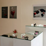 Beardsmore Gallery, London, view 2 JONATHAN MEYER, Beardsmore Gallery, London, view 2, October - November 2008
